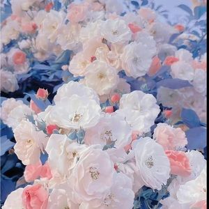 Meet your Posher, Jasmine